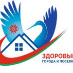 Профилактический проект «Здоровые города и посёлки»